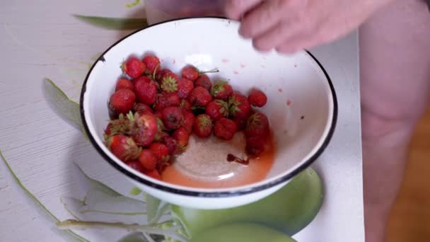 Αρσενικά Χέρια Καθαρίζουν Κόκκινο Ωριμάζουν Τις Φράουλες Από Τις Πράσινες — Αρχείο Βίντεο