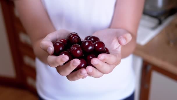 Child Holding Ripe Red Cherries Hands While Standing Kitchen Blurred — Stok Video