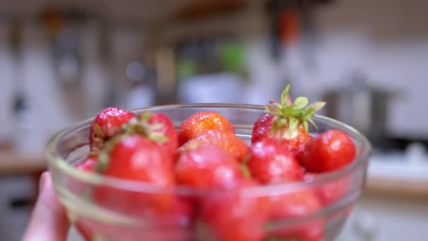 Hands Female Holding Full Glass Bowl Red Strawberry Sunlight Blurred — Stockvideo
