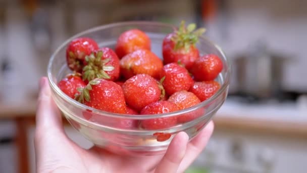 Hands Female Holding Full Glass Bowl Red Strawberry Sunlight Blurred — 비디오