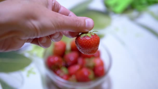 Female Hand Holding Rotating One Ripe Red Strawberry Taken Bowl — Stock videók