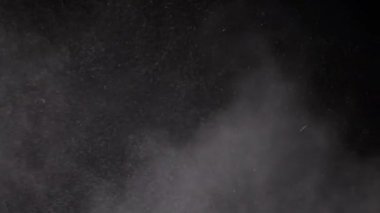 Karışık Toz Parçacıkları Girdabı, Un, Enkaz, Kara Arkaplanda Uçan. Parçacık patlaması. Beyaz tozun dinamik parçacıkları, duman rastgele dönüyor, dönüyor, yüzüyor, uzayda düşüyorlar..