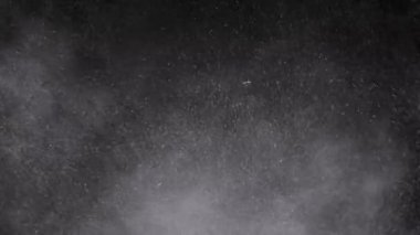 Karışık Toz Parçacıkları Girdabı, Un, Enkaz, Kara Arkaplanda Uçan. Parçacık patlaması. Beyaz tozun dinamik parçacıkları, duman rastgele dönüyor, dönüyor, yüzüyor, uzayda düşüyorlar..