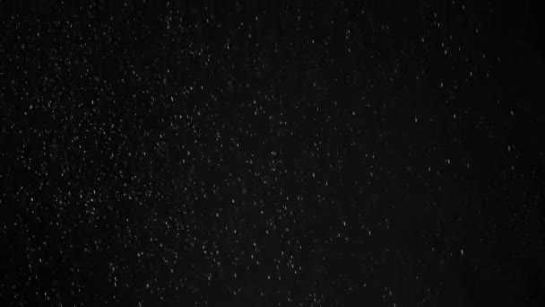 Потоки Повільних Падаючих Частин Пилу Сміття Порошок Чорному Тлі Спарки — стокове відео