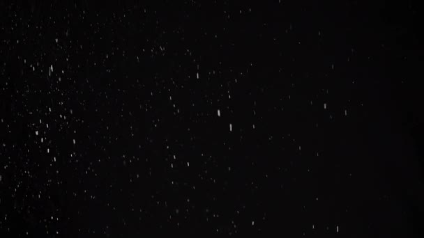 ゆっくりとほこり 黒の背景に粉末の落下粒子のストリーム 白い粉の粒子 フレークが回転し 旋回し 雲霧の中に浮かんでいます 空の空間 星の雨隕石 コスモス — ストック動画