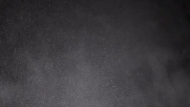 Whirlpool Particelle Miste Polvere Farina Detriti Volare Sfondo Nero Particelle — Video Stock