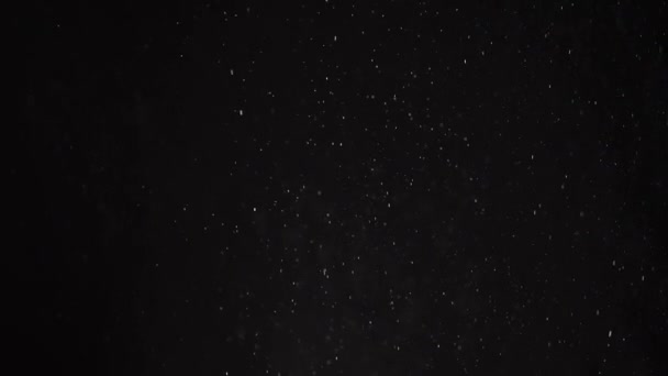 在黑色背景上缓慢下落的尘埃 粉末的流 白色粉末的颗粒 片状物旋转 在云雾中漂浮 空荡荡的地方星雨 宇宙号 — 图库视频影像