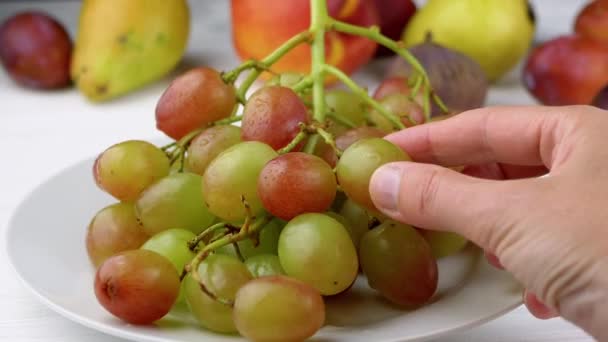 女性の手テーブルの上のプレートに横たわるブドウの束からベリーを引き裂く 果物の背景に赤と緑の色のジューシーな湿式ブドウ 落とせ プラム 黒と白だ — ストック動画