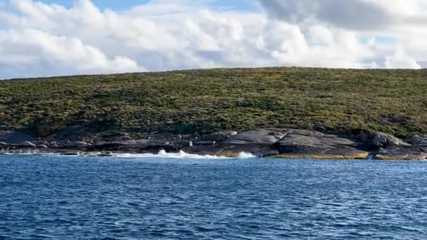 Neptun-szigetek, Lincoln kikötő, világhírű nagy fehér cápák. Ausztrália.