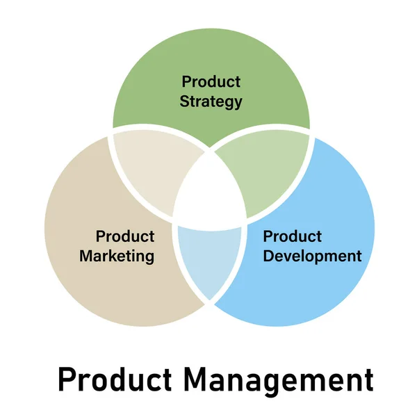 Termékmenedzsment koncepció elemei stratégia marketing és termékfejlesztés — Stock Vector
