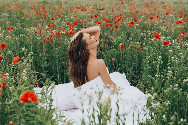 Schöne Junge Frau Posiert Einer Decke Auf Dem Feld Der — Stockfoto