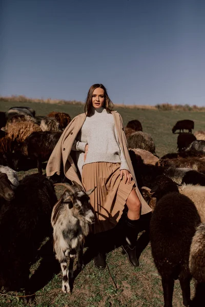 Beautiful Woman Posing Farm Field — 图库照片