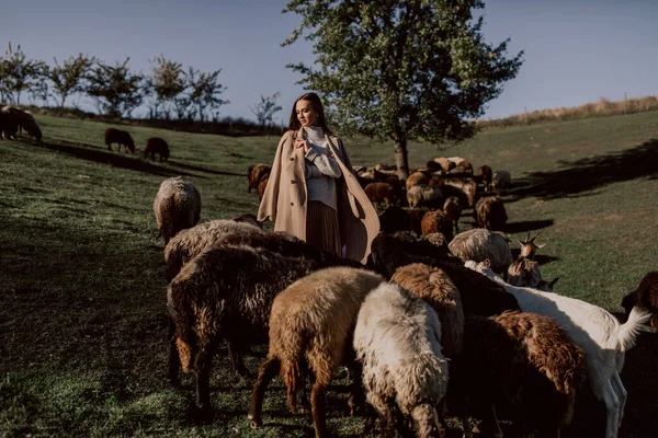 Beautiful Woman Posing Farm Field — Stock Photo, Image