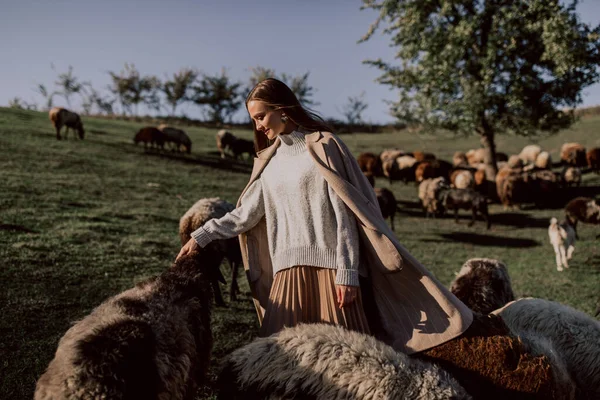 Beautiful Woman Posing Farm Field — 图库照片