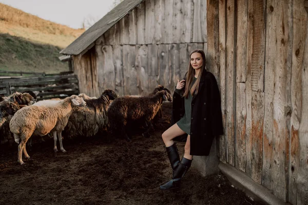 Beautiful Woman Posing Farm Field — Stockfoto