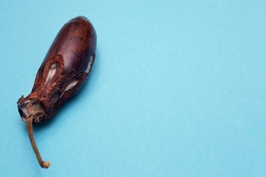 Mavi arka planda, mesaj için yeri olan bozuk bir patlıcan. Bozuk sebze küfü. Çürük yemek. Uzayı kopyala Modelleme. Yüksek kaliteli fotoğraf.