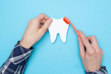 Adam diş fırçasıyla bir diş modelini temizliyor. Caries 'e karşı kavram. Düz yatıyordu. Üst Manzara. Diş bakımı. Ağız temizliği. Mavi arkaplan