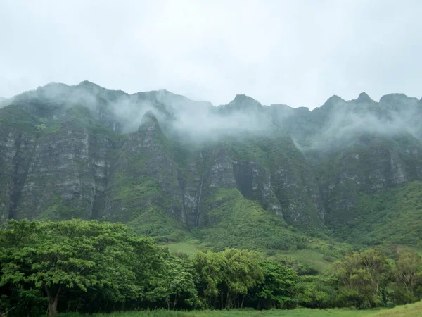 ハワイ州カウアイ島ワイメア キャニオンの滝 — ストック写真