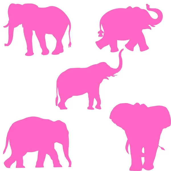 Pink elephants over white background. Wild elephants .Elephant silhouette, elephant clipart, animal clip art, wild animal silhouette, elephant image, elephant svg, elephant cut file, animal svg.