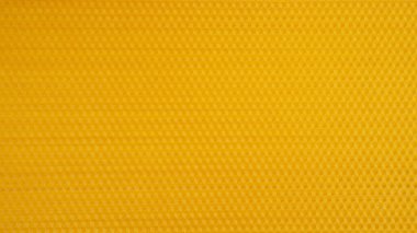 Bal peteği için balmumu. Tatlı altın bal. Arıcılık konsepti.