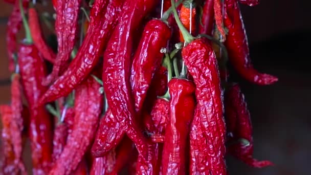 Primo piano di peperoncino rosso asciugato. grappolo appeso di peperoni rossi piccanti. — Video Stock