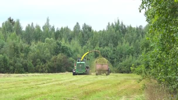 De oogstmachine giet hooi in de tractor kar. Rusland, provincie Leningrad, 21.08.21 — Stockvideo