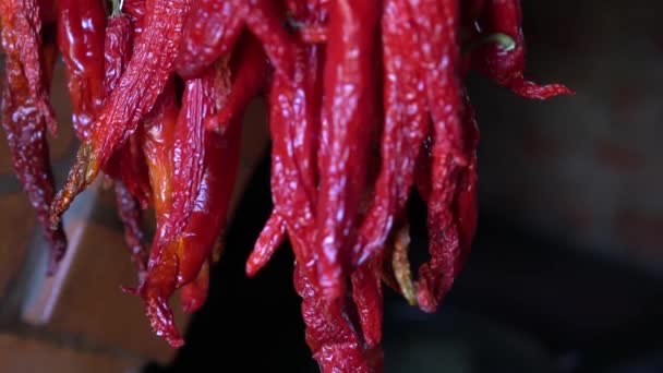 Close-up of dried red hot chili pepper. Hanged bunch of red spicy peppers. — Stock Video