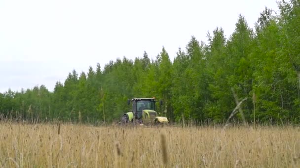농업 조합 수확기의 근접 사진입니다. 러시아, 레닌그라드 지방, 21 . 08 . 21 — 비디오