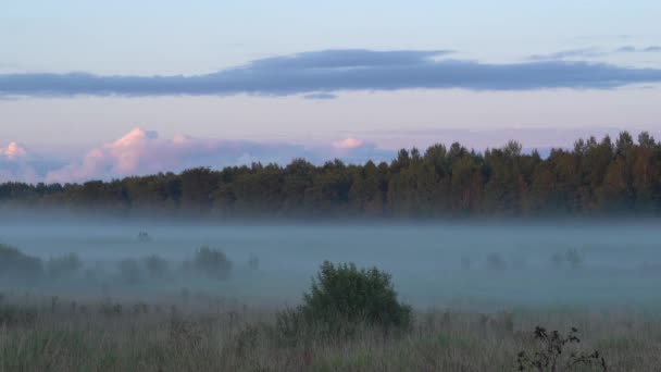 Nebel oder Nebel über dem Feld bei Sonnenuntergang. Nebelige Abendszene. Dämmerungsnebel. — Stockvideo