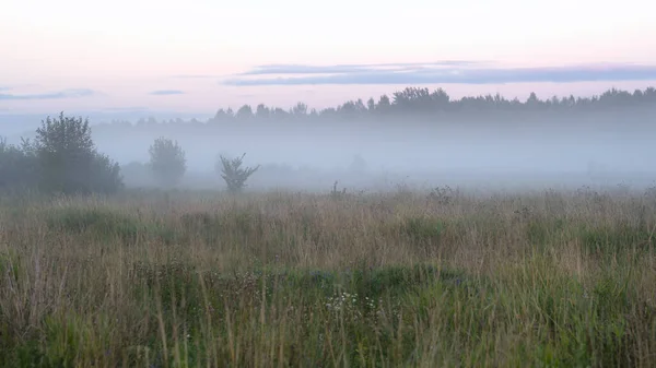 Gün batımında sis ya da sis. Sisli bir akşam sahnesi. Alacakaranlık sisi.