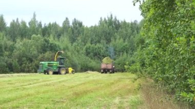 Tarım makineleri. Hasat makinesi birleşimi. Rusya, Leningrad ili, 21.08.21