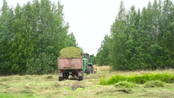 Machines agricoles. Moissonneuse batteuse. Russie, province de Leningrad, 21.08.21 — Video