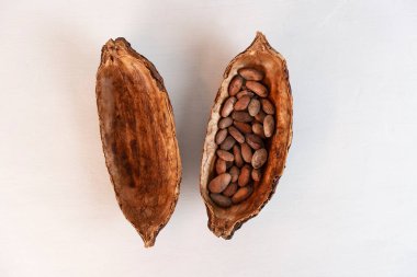 Beyaz arkaplanlı kakao kabuğu. Şekerleme malzemeleri. Üst Manzara. Boşluğu kopyala.