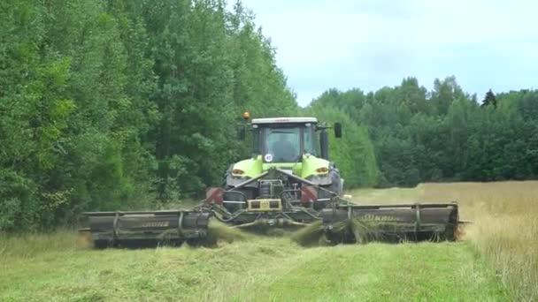 Combine colheitadeira corta a grama para feno. Rússia, província de Leningrado, 21.08.21 — Vídeo de Stock