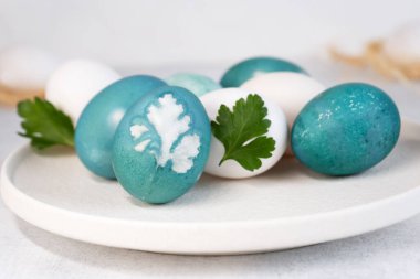 Paskalya yumurtası boyuyorum. Paskalya yumurtalarını mavi renkte doğal renklendirme. Maydanoz yaprağı tasarımı. Yakın plan..