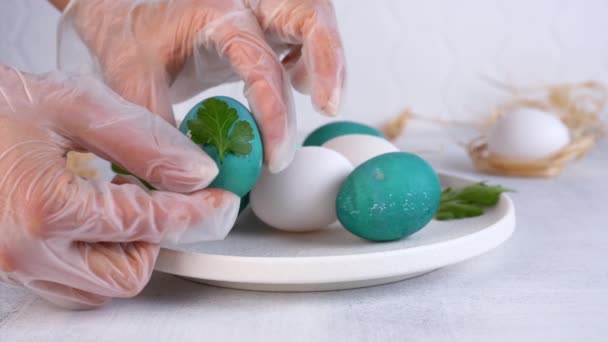 Coloración natural huevos de Pascua en color azul. Diseño de hojas de perejil. Primer plano. — Vídeos de Stock