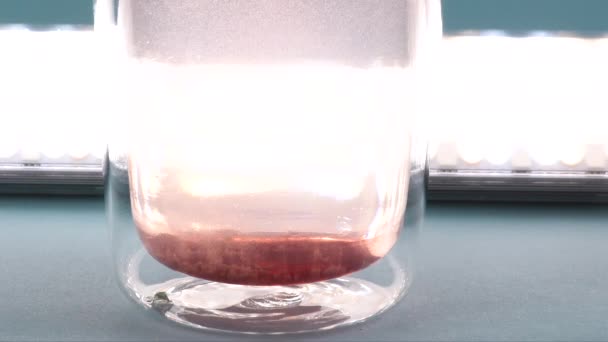 Το κολλαγόνο διαλύεται σε ένα ποτήρι νερό. Πρόσθετα υπερτροφών. Κοντινό πλάνο. — Αρχείο Βίντεο