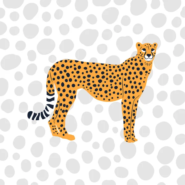 Simple Flat Graphic Illustration Wild Cheetah Big Cat Portrait Big — Stock Vector