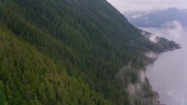 Alaska - yaklaşık 2018: Alaska kıyısı boyunca orman arazisi üzerinde uçmak. Helikopterden Cineflex gimbal ve RED Epic-W kamerasıyla çekildi..