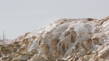Yellowstone Ulusal Parkı 2018 dolaylarında. Mamut Kaplıcaları Terasları.