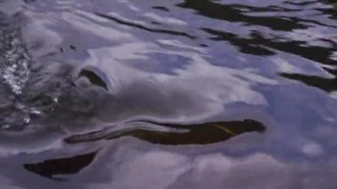 Nehirde akan suyun yakın çekimi