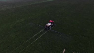 Traktörün çimen tohumu tarlası püskürttüğü hava görüntüsü.