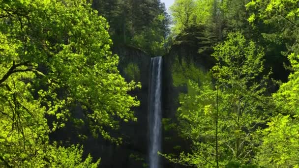 Wasserfall Umrahmt Von Bäumen Columbia River Gorge Oregon — Stockvideo