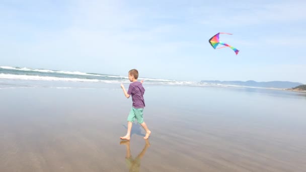 Joven Chico Volando Cometa Playa — Vídeos de Stock