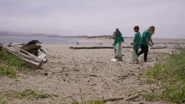 มอาสาสม ครท าความสะอาดชายหาด — วีดีโอสต็อก
