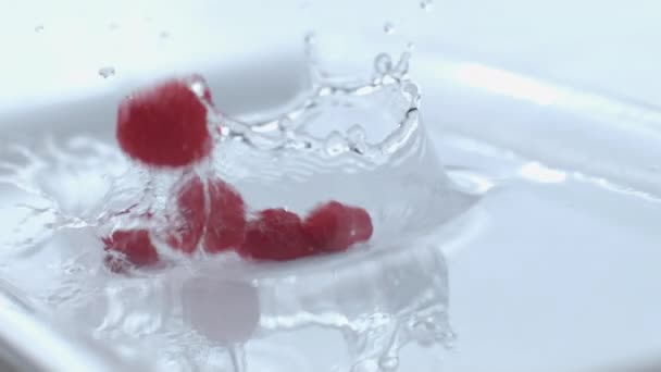 Himbeeren Planschen Zeitlupe Aufgenommen Auf Phantom Flex Bei 1000 Fps — Stockvideo