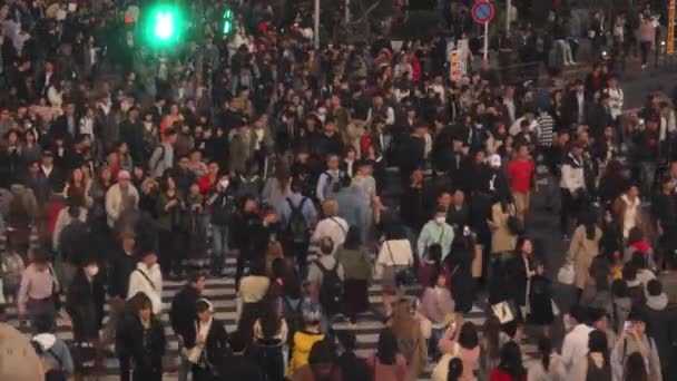 Токио Япония 2018 Толпы Людей Идущих Через Улицу Переходе Сибуя — стоковое видео