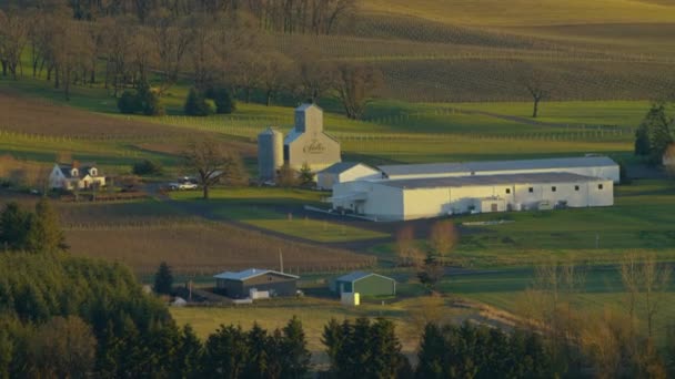 Circa 2017 Aerial View Stoller Vineyards Dayton Oregon — стокове відео