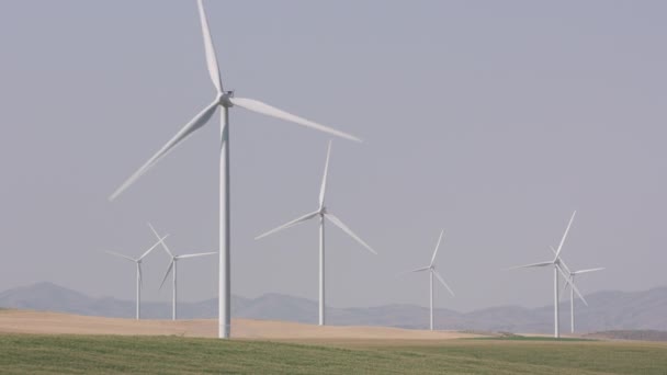 Energieproducerende Windturbines Het Platteland Wyoming — Stockvideo