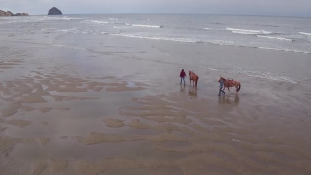 Widok Lotu Ptaka Plaży — Wideo stockowe